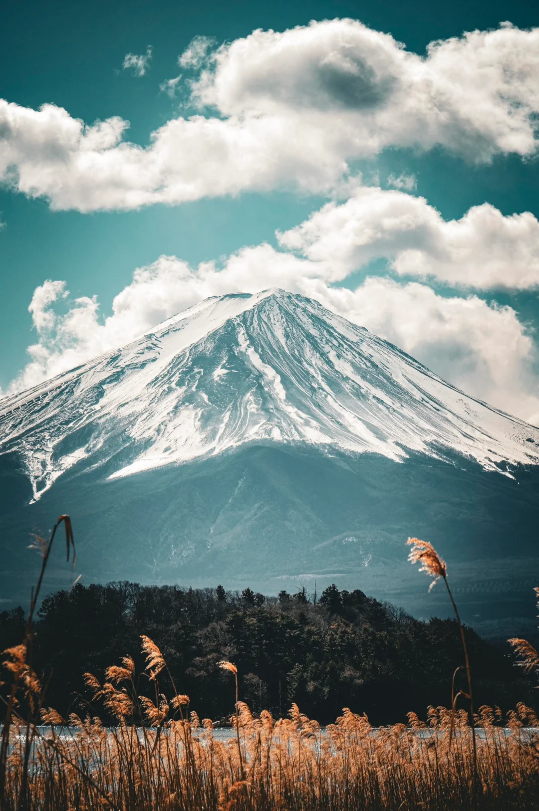 Mount Fuji